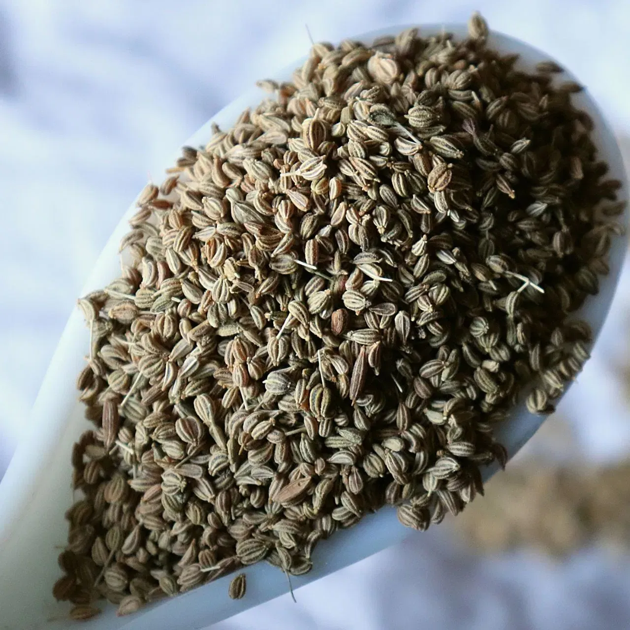 ਅਜਵਾਇਨ ਦਾ ਪਾਣੀ- ਅਜਵਾਇਨ ਦਾ ਪਾਣੀ ਪੇਟ ਲਈ ਬਹੁਤ ਫਾਇਦੇਮੰਦ ਹੁੰਦਾ ਹੈ। ਇਸਨੂੰ ਰਾਤ ਭਰ ਪਾਣੀ ਵਿੱਚ ਭਿਓ ਦਿਓ ਅਤੇ ਸਵੇਰੇ ਉਸ ਪਾਣੀ ਨੂੰ ਪੀਓ। ਇਸ ਨਾਲ ਪੇਟ ਵਿੱਚ ਐਸਿਡਿਟੀ ਤੋਂ ਲੈ ਕੇ ਪੇਟ ਨਾਲ ਜੁੜੀਆਂ ਕਈ ਸਮੱਸਿਆਵਾਂ ਤੋਂ ਰਾਹਤ ਮਿਲੇਗੀ।