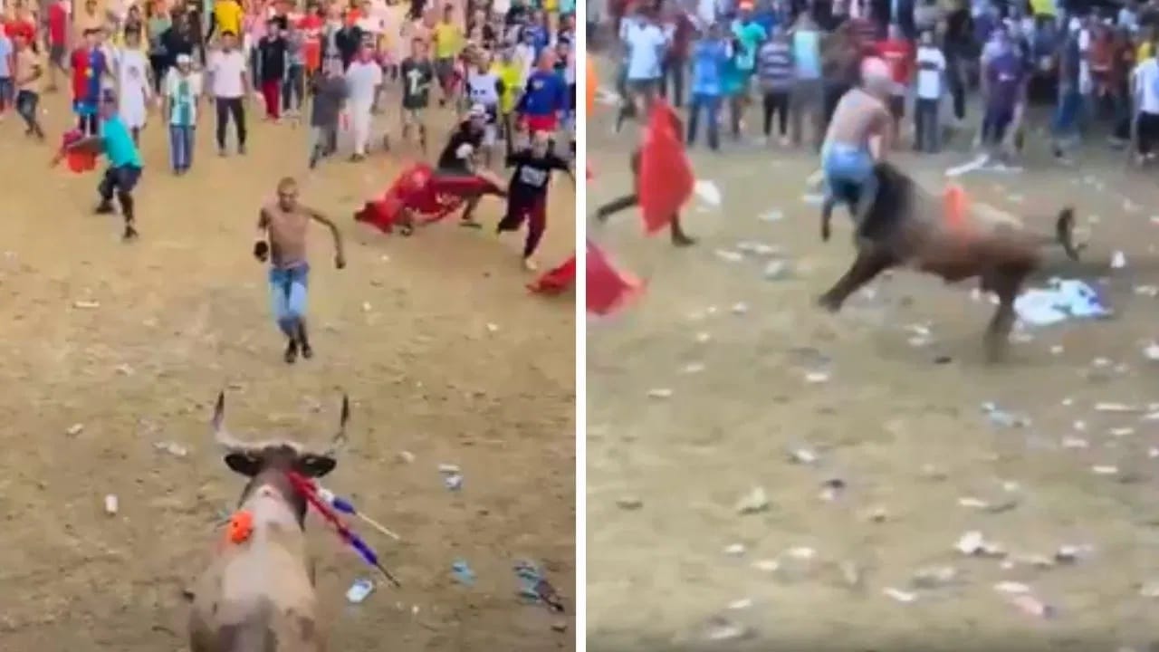 Shocking Video: ਭੜਕੇ ਸਾਨ੍ਹ ਦੇ ਸਾਹਮਣੇ ਸਟੰਟ ਕਰਨਾ ਪਿਆ ਮਹਿੰਗਾ, ਜਾਨਵਰ ਨੇ ਦਿੱਤੀ ਦਰਦਨਾਕ ਮੌਤ