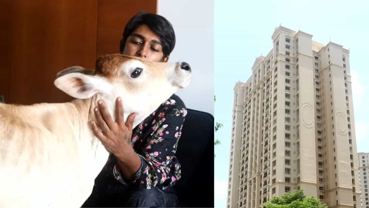 Ajab-Gajab! ਵੱਛੇ ਨਾਲ 28ਵੀਂ ਮੰਜ਼ਿਲ ਤੇ ਰਹਿੰਦੀ ਹੈ ਇਹ ਔਰਤ, ਵਜ੍ਹਾ ਜਾਣ ਕੇ ਰਹਿ ਜਾਓਗੇ ਹੈਰਾਨ- VIDEO Ajab-Gajab! ਵੱਛੇ ਨਾਲ 28ਵੀਂ ਮੰਜ਼ਿਲ ਤੇ ਰਹਿੰਦੀ ਹੈ ਇਹ ਔਰਤ, ਵਜ੍ਹਾ ਜਾਣ ਕੇ ਰਹਿ ਜਾਓਗੇ ਹੈਰਾਨ- VIDEO