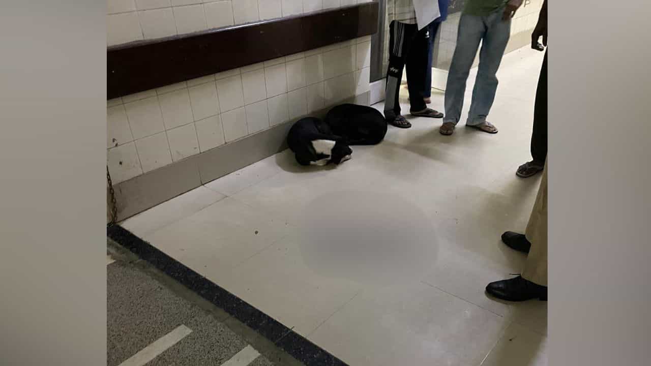 ਪਟਿਆਲਾ: ਹਸਪਤਾਲ ਚ ਕੁੱਤੇ ਦੇ ਮੁੰਹ ਚੋਂ ਮਿਲਿਆ ਨਵਜੰਮੇ ਬੱਚੇ ਦਾ ਸਿਰ, ਸਿਹਤ ਮੰਤਰੀ ਨੇ ਜਾਂਚ ਦੇ ਦਿੱਤੇ ਹੁਕਮ ਪਟਿਆਲਾ: ਹਸਪਤਾਲ ਚ ਕੁੱਤੇ ਦੇ ਮੁੰਹ ਚੋਂ ਮਿਲਿਆ ਨਵਜੰਮੇ ਬੱਚੇ ਦਾ ਸਿਰ, ਸਿਹਤ ਮੰਤਰੀ ਨੇ ਜਾਂਚ ਦੇ ਦਿੱਤੇ ਹੁਕਮ