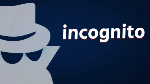 Incognito Mode ਦੀ ਹਿਸਟਰੀ ਕਿਵੇਂ ਹੋਵੇਗੀ ਡਿਲੀਟ, ਜਾਣੋਂ ਆਸਾਨ ਤਰੀਕਾ