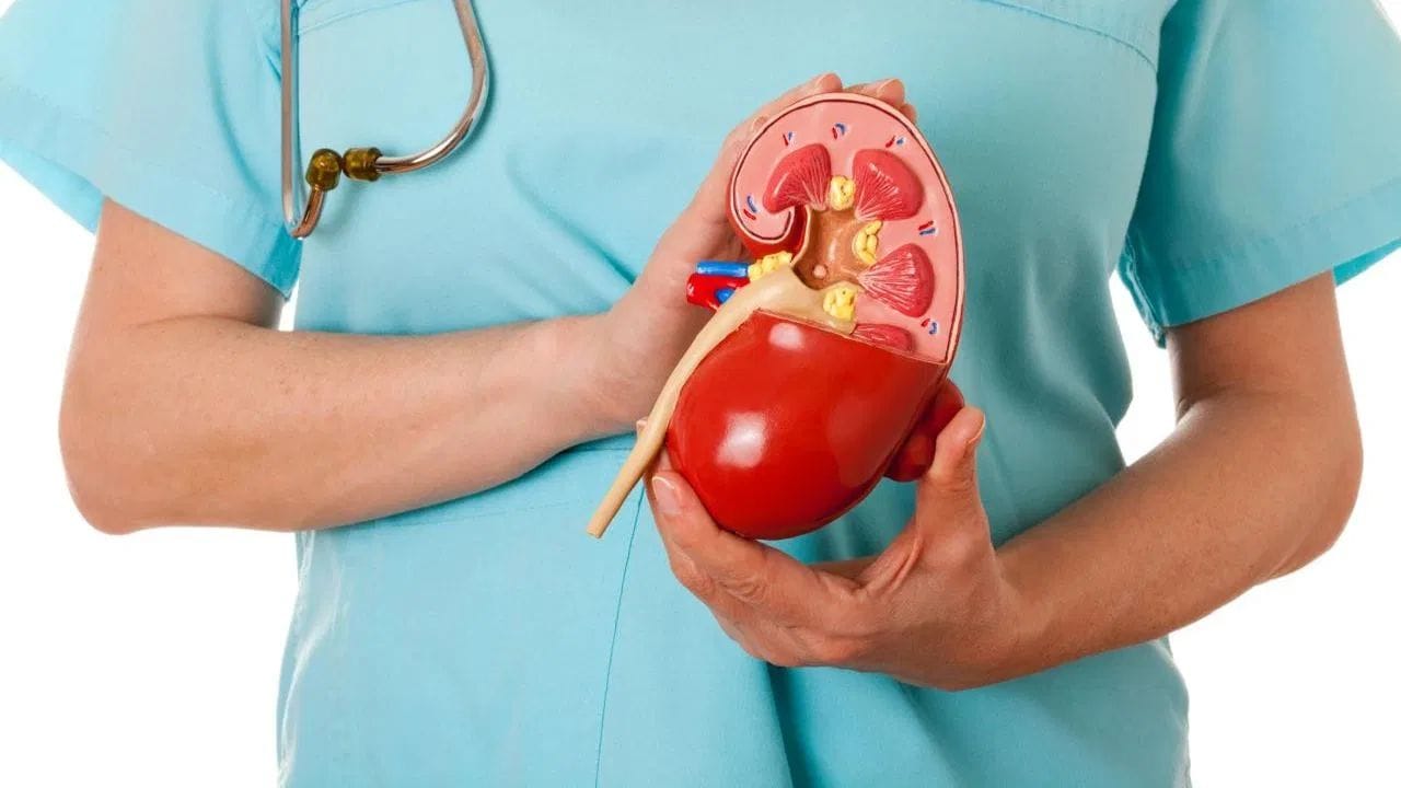 Kidney health: ਕਿਡਨੀ ਦੀ ਸਿਹਤ ਲਈ ਰੋਜ਼ਾਨਾ ਕਿੰਨਾ ਪਾਣੀ ਪੀਣਾ ਚਾਹੀਦਾ ਹੈ? ਮਾਹਿਰਾਂ ਤੋਂ ਜਾਣੋ