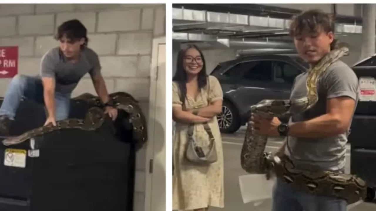 OMG! 20 ਫੁੱਟ ਲੰਬੇ ਅਜਗਰ ਤੇ ਨੌਜਵਾਨ ਨੇ ਇੰਝ ਪਾਇਆ ਕਾਬੂ, ਦੇਖਦੇ ਰਹ ਗਏ ਸਾਰੇ... ਵਾਇਰਲ ਹੋਈ ਵੀਡੀਓ OMG! 20 ਫੁੱਟ ਲੰਬੇ ਅਜਗਰ ਤੇ ਨੌਜਵਾਨ ਨੇ ਇੰਝ ਪਾਇਆ ਕਾਬੂ, ਦੇਖਦੇ ਰਹ ਗਏ ਸਾਰੇ... ਵਾਇਰਲ ਹੋਈ ਵੀਡੀਓ