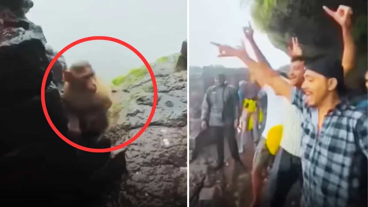 Monkey Dance Viral Video: ਬਾਂਦਰ ਨੇ ਕੀਤਾ ਇਨਸਾਨਾਂ ਨਾਲ ਡਾਂਸ, ਲੋਕ ਬੋਲੇ- ਡਾਰਵਿਨ ਸਹੀਂ, ਇਨਸਾਨ ਬਾਂਦਰਾਂ ਤੋਂ ਬਣੇ