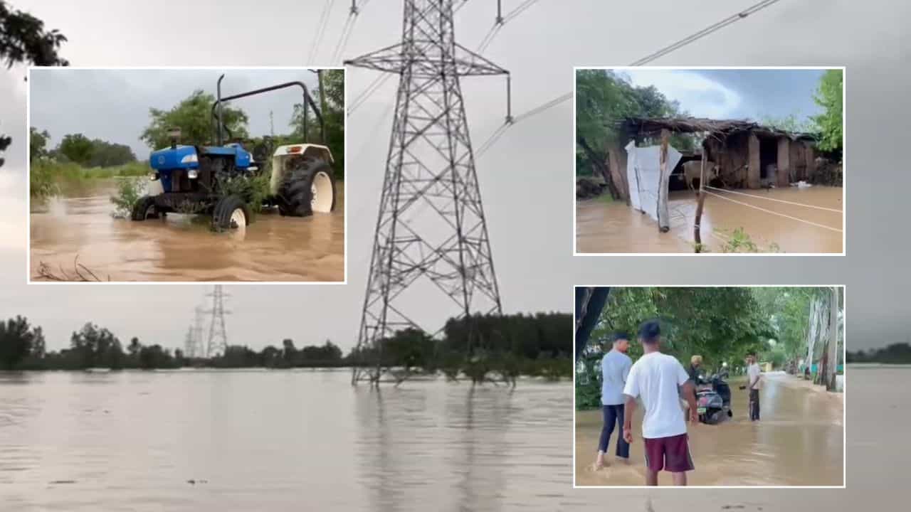 ਪੰਜਾਬ ਚ ਅੱਜ ਵੀ ਬਾਰਿਸ਼ ਦਾ ਯੈਲੋ ਅਲਰਟ, ਬਿਆਸ-ਸਤਲੁਜ ਤੇ ਰਾਵੀ ਚ ਉਫਾਨ, ਕਈ ਇਲਾਕੇ ਪ੍ਰਭਾਵਿਤ ਪੰਜਾਬ ਚ ਅੱਜ ਵੀ ਬਾਰਿਸ਼ ਦਾ ਯੈਲੋ ਅਲਰਟ, ਬਿਆਸ-ਸਤਲੁਜ ਤੇ ਰਾਵੀ ਚ ਉਫਾਨ, ਕਈ ਇਲਾਕੇ ਪ੍ਰਭਾਵਿਤ