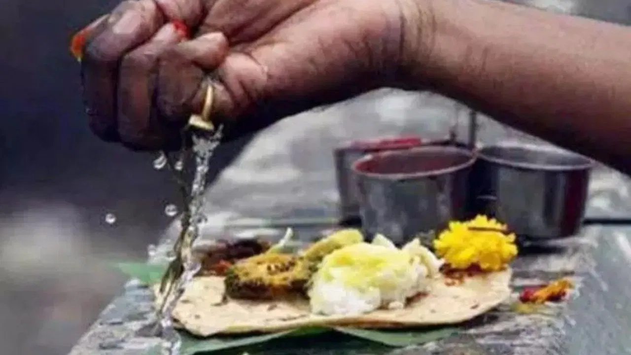 ਸ਼ਰਾਧਾਂ ਵਿੱਚ, ਜਾਨਵਰਾਂ ਅਤੇ ਪੰਛੀਆਂ ਨੂੰ ਭੋਜਨ ਖੁਆਉਣਾ ਚਾਹੀਦਾ ਹੈ। ਇਨ੍ਹਾਂ ਕੰਮਾਂ ਨੂੰ ਕਰਨਾ ਬਹੁਤ ਸ਼ੁਭ ਅਤੇ ਫਲਦਾਇਕ ਮੰਨਿਆ ਜਾਂਦਾ ਹੈ। ਇਸ ਦੌਰਾਨ, ਖਾਸ ਕਰਕੇ ਗਾਵਾਂ ਅਤੇ ਕਾਂਵਾਂ ਨੂੰ ਭੋਜਨ ਜਰੂਰ ਖੁਆਓ।