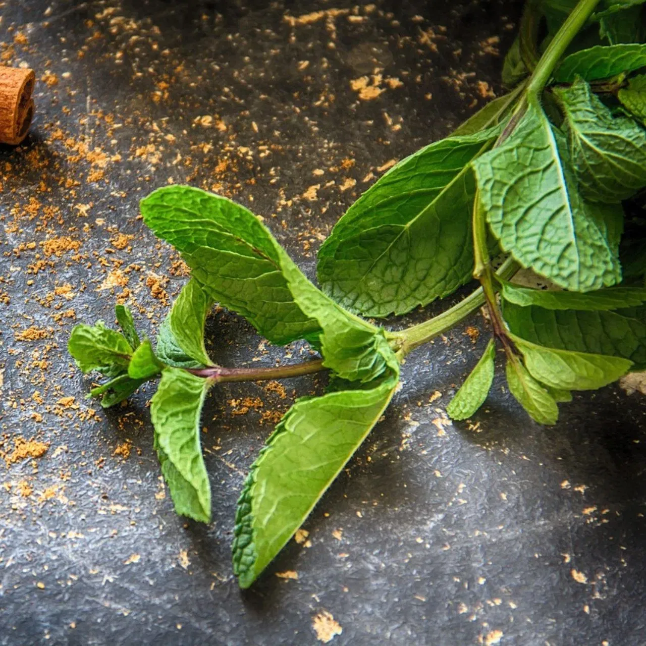 ਪੁਦੀਨਾ- ਜੇਕਰ ਤੁਸੀਂ ਰੱਖੜੀ 'ਤੇ ਸਾਰਾ ਦਿਨ ਆਪਣੇ ਦਿਲ ਦੀ ਸੰਤੁਸ਼ਟੀ ਲਈ ਖਾਣਾ ਚਾਹੁੰਦੇ ਹੋ, ਤਾਂ ਤੁਸੀਂ ਸਵੇਰੇ ਉੱਠਣ ਤੋਂ ਬਾਅਦ ਪੁਦੀਨੇ ਦੇ ਪੱਤੇ ਚਬਾ ਸਕਦੇ ਹੋ। ਪੁਦੀਨਾ ਪੇਟ ਨੂੰ ਠੰਡਾ ਰੱਖਦਾ ਹੈ।