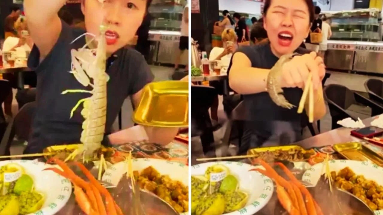 Viral Video: ਜ਼ਿੰਦਾ ਝੀਂਗਾ ਖਾਣਾ ਚਾਹੁੰਦੀ ਸੀ ਕੁੜੀ, ਜੀਵ ਨੇ ਲਿਆ ਗਜਬ ਦਾ ਬਦਲਾ!