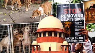 Supreme Court Decision on Stray Dogs: ਆਵਾਰਾ ਕੁੱਤਿਆਂ ‘ਤੇ ਸੁਪਰੀਮ ਕੋਰਟ ਦਾ ਸੂਬਿਆਂ ਨੂੰ ਹੁਕਮ