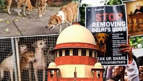 Supreme Court On Stray Dogs: ਜਿਨ੍ਹਾਂ ਲੋਕਾਂ ਨੂੰ ਕੁੱਤਿਆਂ ਨੇ ਕੱਟਿਆ, ਜਾਣੋ ਸੁਪਰੀਮ ਕੋਰਟ ਦੇ ਫੈਸਲੇ 'ਤੇ ਉਨ੍ਹਾਂ ਦੇ ਵਿਚਾਰ Supreme Court On Stray Dogs: ਜਿਨ੍ਹਾਂ ਲੋਕਾਂ ਨੂੰ ਕੁੱਤਿਆਂ ਨੇ ਕੱਟਿਆ, ਜਾਣੋ ਸੁਪਰੀਮ ਕੋਰਟ ਦੇ ਫੈਸਲੇ 'ਤੇ ਉਨ੍ਹਾਂ ਦੇ ਵਿਚਾਰ