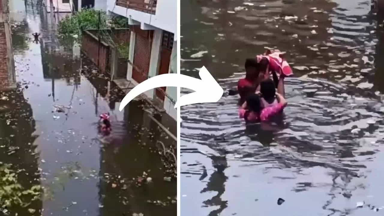 Viral Video: ਬਾਹੂਬਲੀ ਫਿਲਮ ਦੇ ਸੀਨ ਵਾਂਗ ਨਵਜੰਮੇ ਬੱਚੇ ਨੂੰ ਮਾਤਾ-ਪਿਤਾ ਨੇ ਬਚਾਇਆ, ਲੋਕ ਬੋਲੇ-ਕਲਯੁਗ ਦਾ ਵਾਸੂਦੇਵ