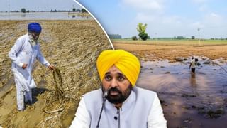 ਪੰਜਾਬ ‘ਚ ਹੜ੍ਹਾਂ ਨਾਲ ਹੋਏ ਨੁਕਸਾਨ ਦੀ ਨਵੇਂ ਸਿਰ ਤੋਂ ਸਟਡੀ: ਕੇਂਦਰ ਨੂੰ ਭੇਜਿਆ ਜਾਵੇਗਾ ਮੈਮੋਰੈਂਡਮ, ਮੁੱਖ ਸਕੱਤਰ ਕਰਨਗੇ ਮੀਟਿੰਗ