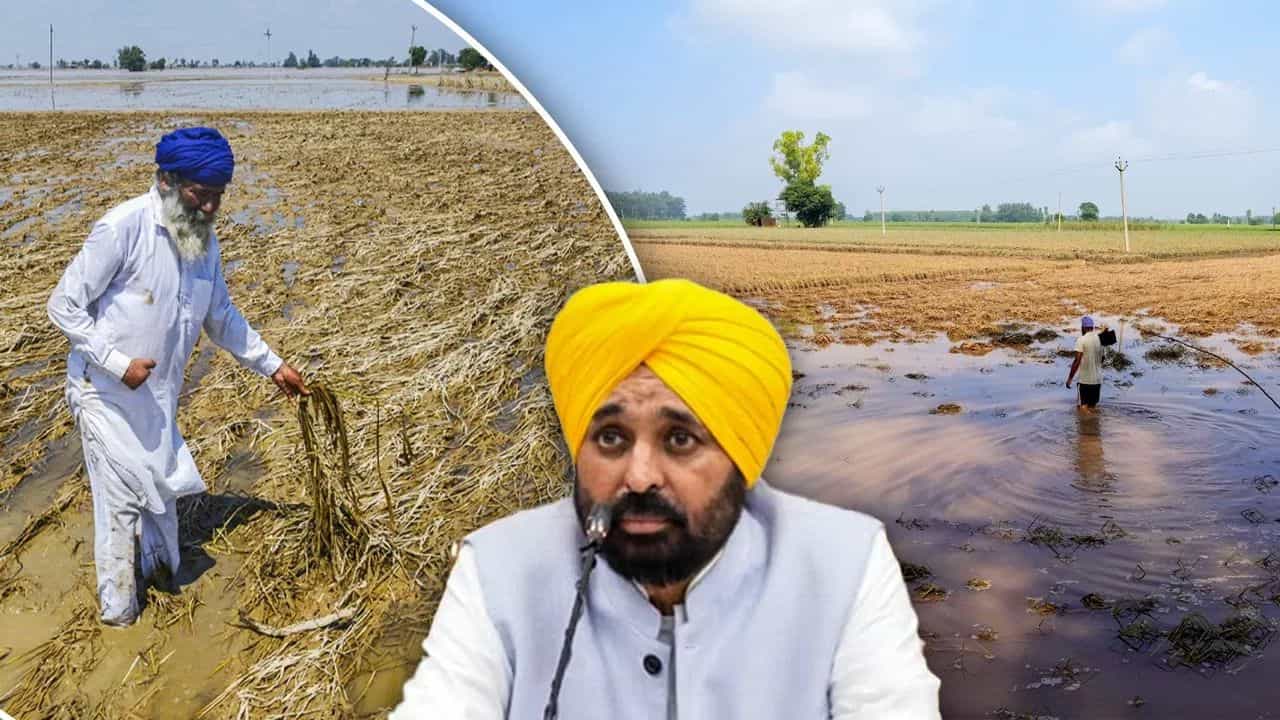 ਪੰਜਾਬ ਚ ਹੜ੍ਹਾਂ ਨਾਲ ਹੋਏ ਨੁਕਸਾਨ ਦੀ ਨਵੇਂ ਸਿਰ ਤੋਂ ਸਟਡੀ: ਕੇਂਦਰ ਨੂੰ ਭੇਜਿਆ ਜਾਵੇਗਾ ਮੈਮੋਰੈਂਡਮ, ਮੁੱਖ ਸਕੱਤਰ ਕਰਨਗੇ ਮੀਟਿੰਗ