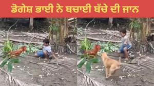 Funny Video