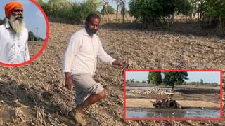ਸਤਲੁਜ ਦਰਿਆ ਦਾ ਪਾਣੀ ਘਟਣ ਤੋਂ ਬਾਅਦ ਜ਼ਮੀਨੀ ਹਾਲਾਤ, ਫਸਲਾਂ ਪੂਰੀ ਤਰ੍ਹਾਂ ਬਰਬਾਦ, ਲੋਕ ਪ੍ਰੇਸ਼ਾਨ