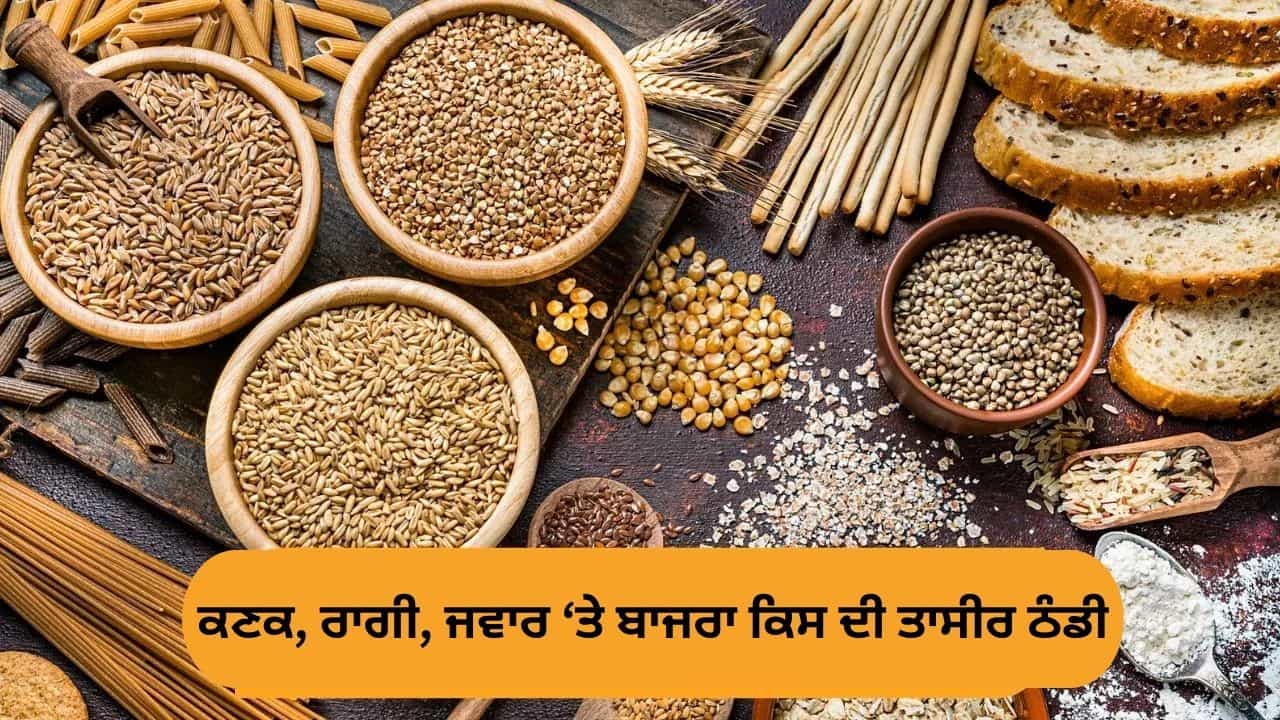 ਕਣਕ, ਰਾਗੀ, ਜਵਾਰ ਅਤੇ ਬਾਜਰਾ... ਕਿਸ ਮੌਸਮ ਵਿੱਚ ਕੀ ਖਾਣਾ ਹੈ? ਐਕਸਪਰਟ ਤੋਂ ਸਮਝੋ