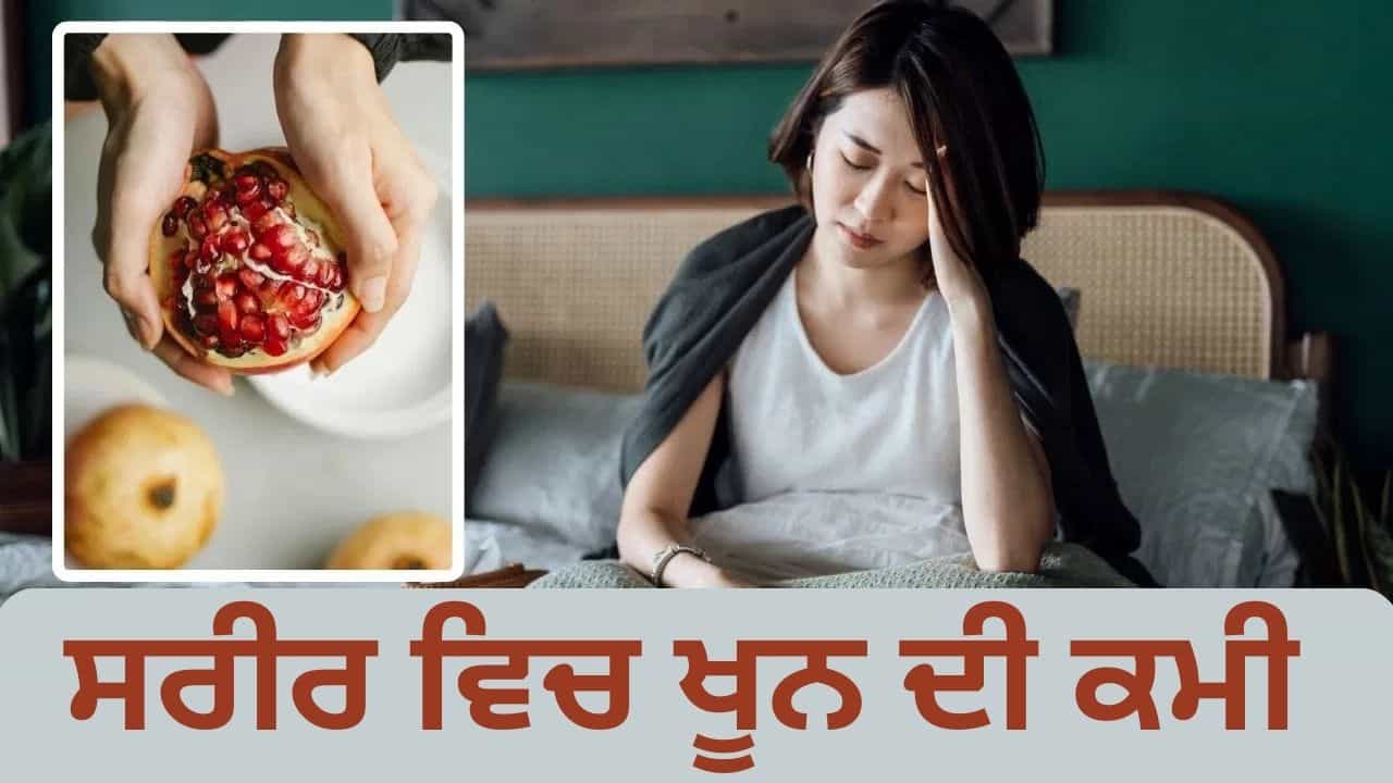 ਇਹ 6 ਸ਼ਾਕਾਹਾਰੀ ਚੀਜ਼ਾਂ ਸਰੀਰ ਵਿੱਚ ਤੇਜ਼ੀ ਨਾਲ ਵਧਾਉਂਦੀਆਂ ਹਨ ਖੂਨ, ਇਸ ਤਰ੍ਹਾਂ ਕਰੋ ਖੁਰਾਕ ਵਿੱਚ ਸ਼ਾਮਲ ਇਹ 6 ਸ਼ਾਕਾਹਾਰੀ ਚੀਜ਼ਾਂ ਸਰੀਰ ਵਿੱਚ ਤੇਜ਼ੀ ਨਾਲ ਵਧਾਉਂਦੀਆਂ ਹਨ ਖੂਨ, ਇਸ ਤਰ੍ਹਾਂ ਕਰੋ ਖੁਰਾਕ ਵਿੱਚ ਸ਼ਾਮਲ