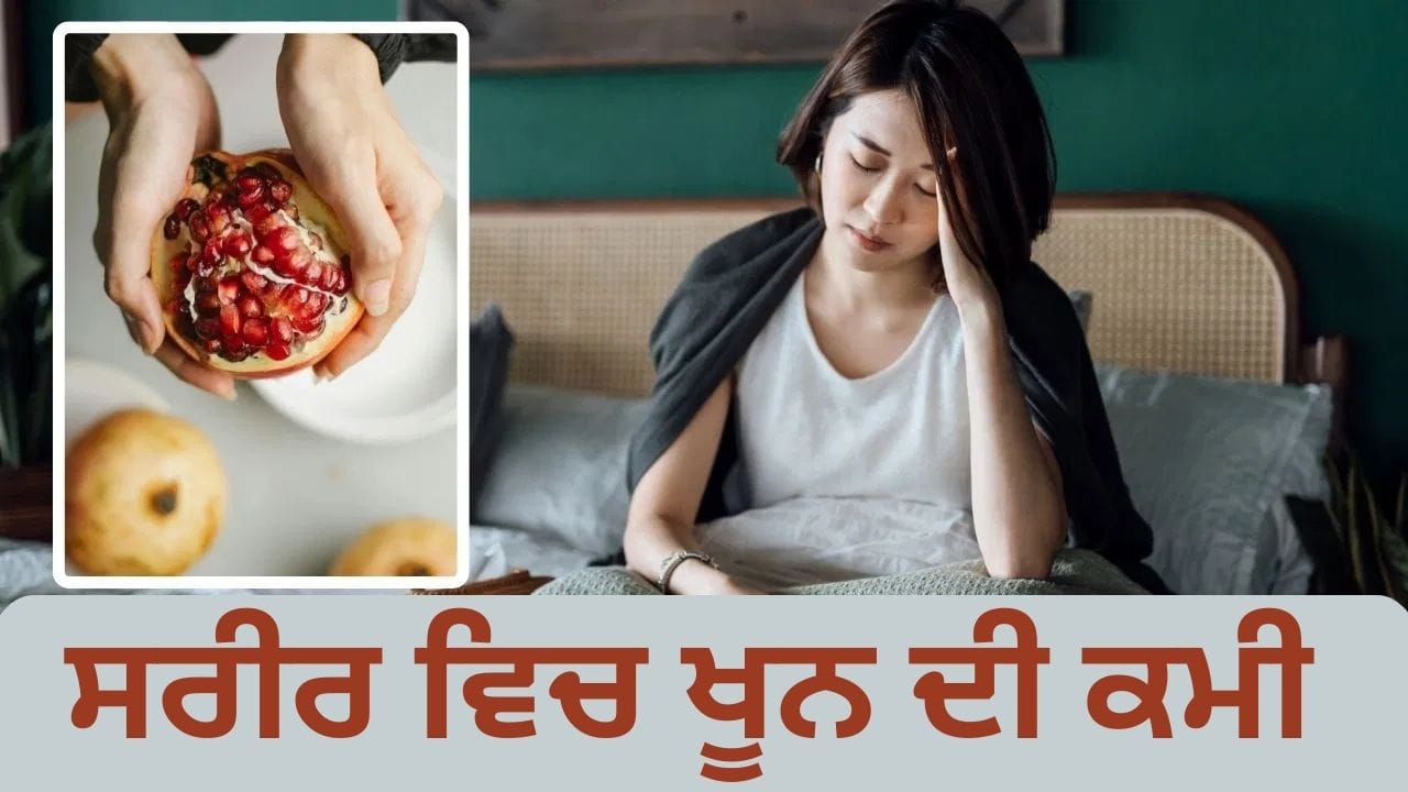 ਇਹ 6 ਸ਼ਾਕਾਹਾਰੀ ਚੀਜ਼ਾਂ ਸਰੀਰ ਵਿੱਚ ਤੇਜ਼ੀ ਨਾਲ ਵਧਾਉਂਦੀਆਂ ਹਨ ਖੂਨ, ਇਸ ਤਰ੍ਹਾਂ ਕਰੋ ਖੁਰਾਕ ਵਿੱਚ ਸ਼ਾਮਲ