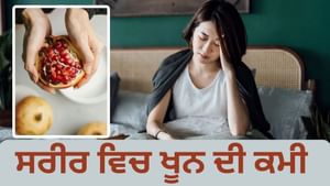 ਇਹ 6 ਸ਼ਾਕਾਹਾਰੀ ਚੀਜ਼ਾਂ ਸਰੀਰ ਵਿੱਚ ਤੇਜ਼ੀ ਨਾਲ ਵਧਾਉਂਦੀਆਂ ਹਨ ਖੂਨ