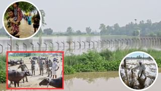 ਹੜ੍ਹ ਤੋਂ ਬਾਅਦ ਬਿਮਾਰੀਆਂ ਦਾ ਖਤਰਾ, ਪਠਾਨਕੋਟ ‘ਚ BSF ਜਵਾਨ ਲੈਪਟੋਸਪਾਇਰੋਸਿਸ ਤੋਂ ਪੀੜਤ, ਸਿਹਤ ਵਿਭਾਗ ਵੱਲੋਂ ਸਰਵੇਖਣ ਸ਼ੁਰੂ