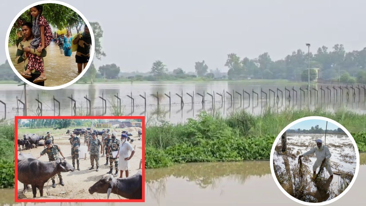 ਹੜ੍ਹ ਤੋਂ ਬਾਅਦ ਬਿਮਾਰੀਆਂ ਦਾ ਖਤਰਾ, ਪਠਾਨਕੋਟ 'ਚ BSF ਜਵਾਨ ਲੈਪਟੋਸਪਾਇਰੋਸਿਸ ਤੋਂ ਪੀੜਤ, ਸਿਹਤ ਵਿਭਾਗ ਵੱਲੋਂ ਸਰਵੇਖਣ ਸ਼ੁਰੂ