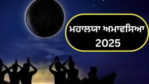 ਮਹਾਲਯਾ ਅਮਾਵਸਿਆ ਦੇ ਦਿਨ ਪੂਰਵਜਾਂ ਦੀ ਵਿਦਾਈ ਅਤੇ ਜਾਣੋ ਪੂਜਾ ਦੀ ਮਹੱਤਤਾ