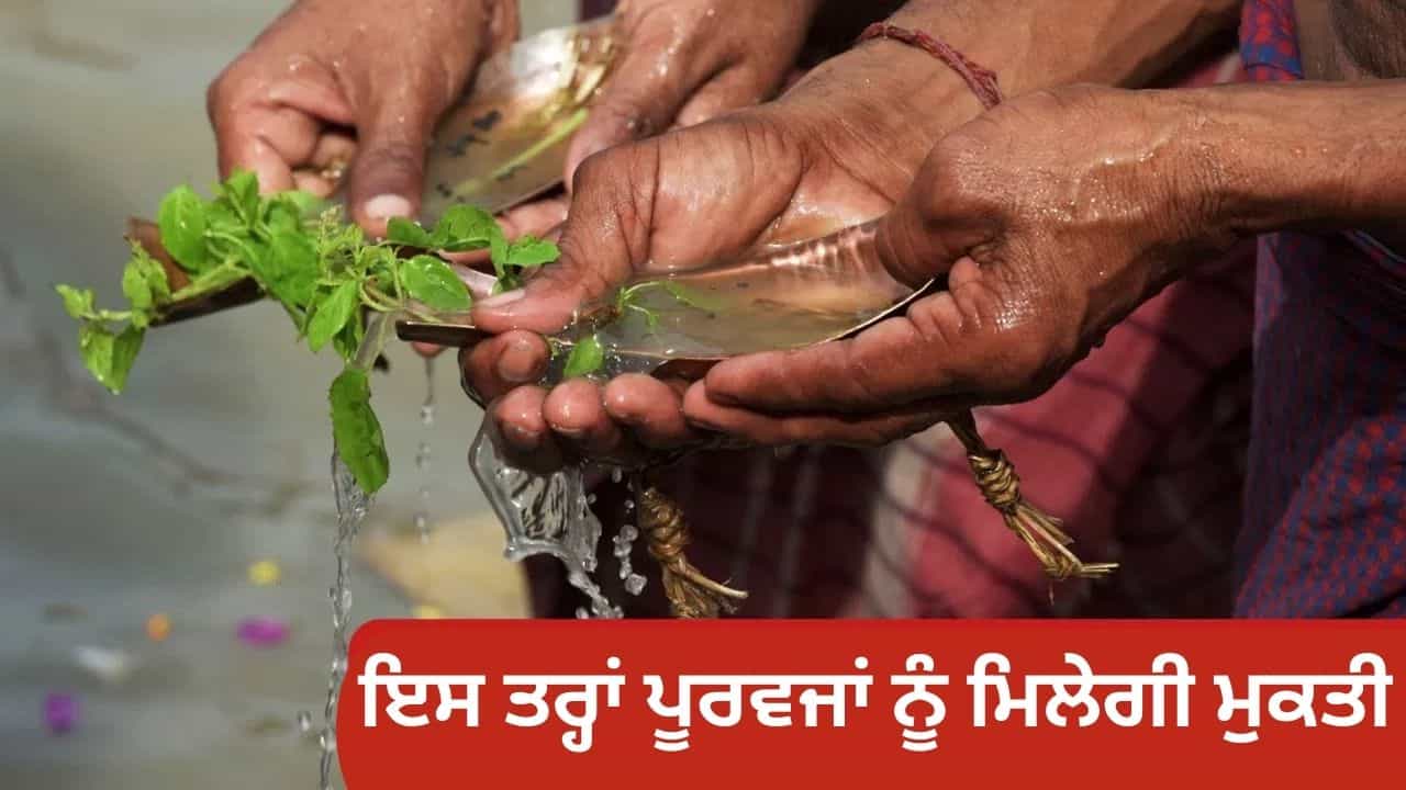 ਪਿੱਤਰਾਂ ਦੀ ਮੁਕਤੀ ਦਾ ਦਿਨ, ਨਹੀਂ ਯਾਦ ਤੁਹਾਨੂੰ ਸ਼ਰਾਧ ਦੀ ਤਾਰੀਖ, ਤਾਂ ਇਸ ਦਿਨ ਕਰੋ ਪਿੰਡ ਦਾਨ ਪਿੱਤਰਾਂ ਦੀ ਮੁਕਤੀ ਦਾ ਦਿਨ, ਨਹੀਂ ਯਾਦ ਤੁਹਾਨੂੰ ਸ਼ਰਾਧ ਦੀ ਤਾਰੀਖ, ਤਾਂ ਇਸ ਦਿਨ ਕਰੋ ਪਿੰਡ ਦਾਨ