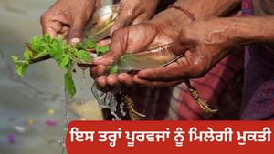 ਪਿੱਤਰਾਂ ਦੀ ਮੁਕਤੀ ਦਾ ਦਿਨ, ਨਹੀਂ ਯਾਦ ਸ਼ਰਾਧ ਦੀ ਤਾਰੀਖ, ਇਸ ਦਿਨ ਕਰੋ ਪਿੰਡ ਦਾਨ
