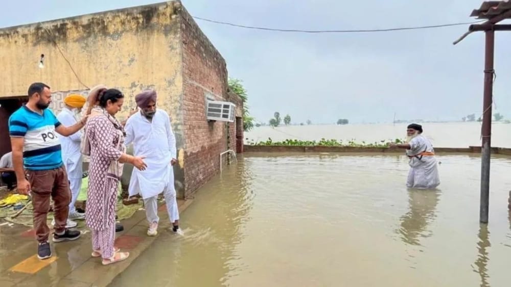 ਸਰਕਾਰੀ ਅਧਿਕਾਰੀ ਲਗਾਤਾਰ ਗ੍ਰਾਉਂਡ ਤੇ ਘੁੰਮ ਰਹੇ ਹਨ। ਪੀੜਤ ਪਰਿਵਾਰਾਂ ਦੀਆਂ ਮੁਸ਼ਕਲਾਂ ਸੁਣ ਕੇ ਉਨ੍ਹਾਂ ਹੱਲ ਕੱਢਣ ਦੀ ਕੋਸ਼ਿਸ਼ ਕਰ ਰਹੇ ਹਨ। ਸਰਕਾਰ ਦੇ ਮੰਤਰੀ ਅਤੇ ਖੁਦ ਸੀਐਮ ਭਗਵੰਤ ਮਾਨ ਵੀ ਲਗਾਤਾਰ ਹੜ੍ਹ ਪ੍ਰਭਾਵਿਤ ਇਲਾਕਿਆਂ ਦੇ ਦੌਰੇ ਕਰ ਰਹੇ ਹਨ।