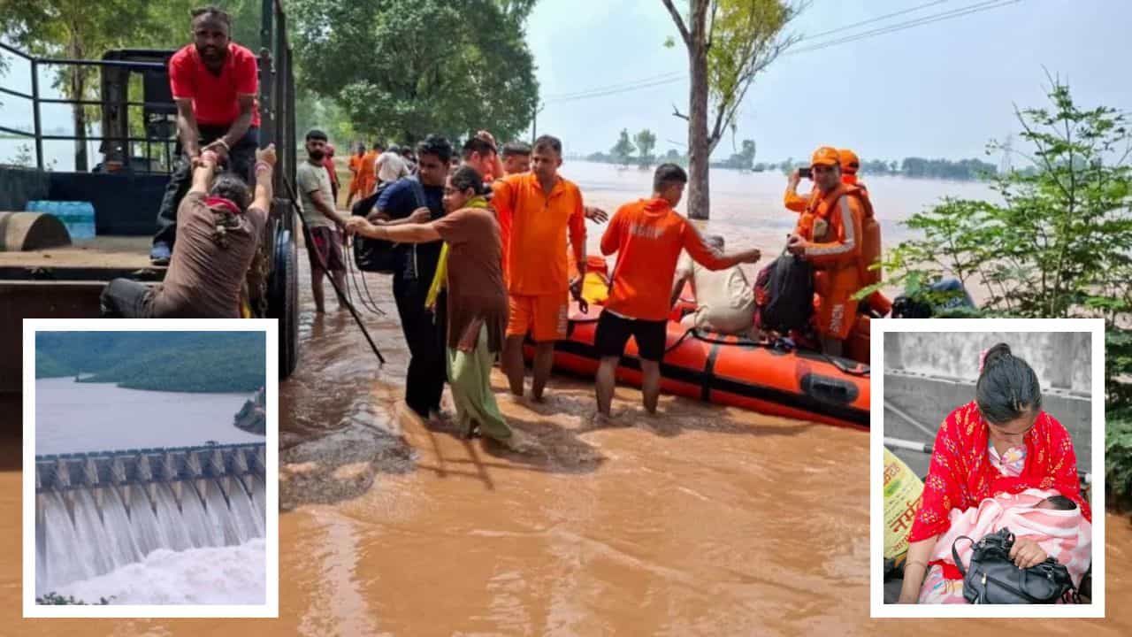 ਪੰਜਾਬ ਵਿੱਚ ਅੱਜ ਮੀਂਹ ਦਾ ਕੋਈ ਅਲਰਟ ਨਹੀਂ, ਜਾਣੋ 23 ਜ਼ਿਲ੍ਹਿਆਂ ਦੇ ਮੌਸਮ ਦਾ ਹਾਲ ਪੰਜਾਬ ਵਿੱਚ ਅੱਜ ਮੀਂਹ ਦਾ ਕੋਈ ਅਲਰਟ ਨਹੀਂ, ਜਾਣੋ 23 ਜ਼ਿਲ੍ਹਿਆਂ ਦੇ ਮੌਸਮ ਦਾ ਹਾਲ