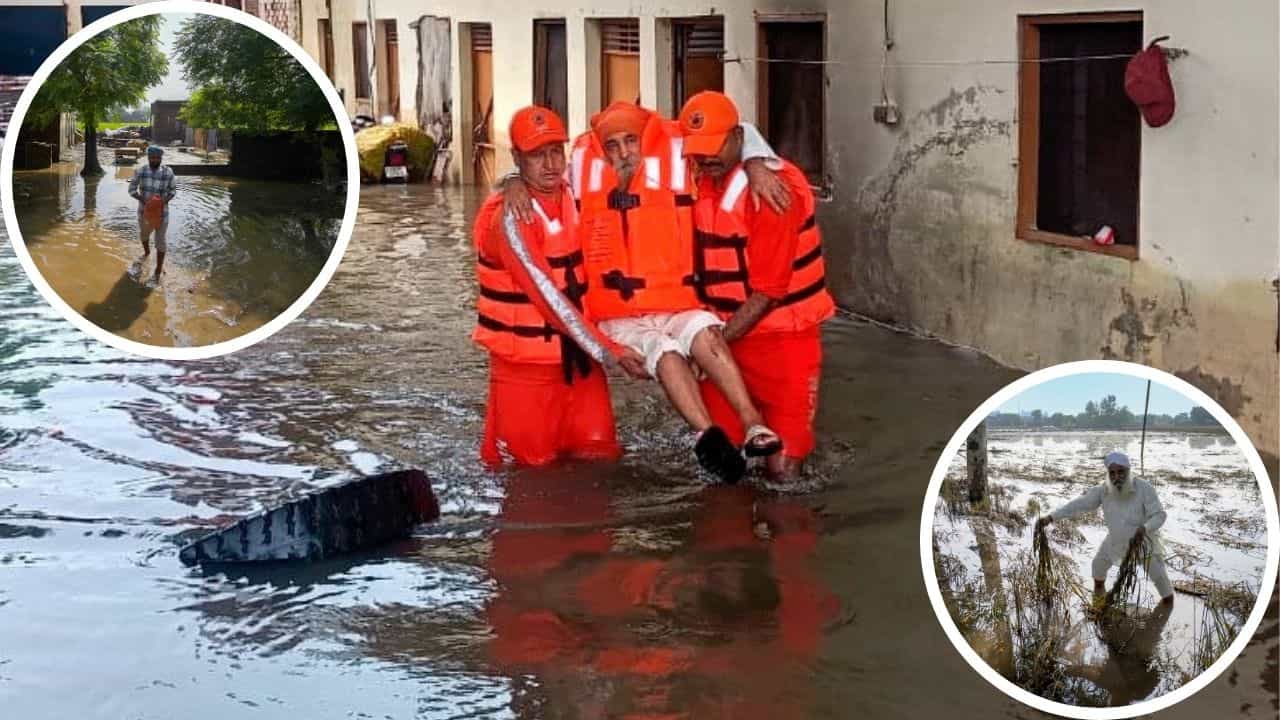 ਪੰਜਾਬ ਮੰਡੀ ਬੋਰਡ ਦੇ ਪੈਨਸ਼ਨਰ ਹੜ੍ਹ ਪੀੜਤਾਂ ਦੀ ਕਰਨਗੇ ਸਹਾਇਤਾ: 33 ਲੱਖ ਰੁਪਏ ਕੀਤੇ ਇਕੱਠੇ, ਪ੍ਰਭਾਵਿਤ ਕਿਸਾਨਾਂ ਦੀ ਪਛਾਣ ਲਈ ਬਣਾਈ ਕਮੇਟੀ