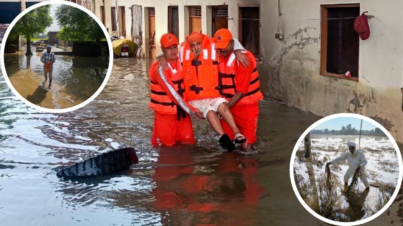 ਪੰਜਾਬ ਮੰਡੀ ਬੋਰਡ ਦੇ ਪੈਨਸ਼ਨਰ ਹੜ੍ਹ ਪੀੜਤਾਂ ਦੀ ਕਰਨਗੇ ਸਹਾਇਤਾ: 33 ਲੱਖ ਰੁਪਏ ਕੀਤੇ ਇਕੱਠੇ, ਪ੍ਰਭਾਵਿਤ ਕਿਸਾਨਾਂ ਦੀ ਪਛਾਣ ਲਈ ਬਣਾਈ ਕਮੇਟੀ