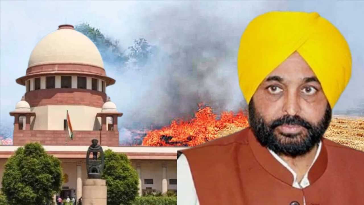 Stubble Burning: ਪੰਜਾਬ ਸਰਕਾਰ ਕਿਸਾਨਾਂ ਨੂੰ ਕਰੇਗੀ ਜਾਗਰੂਕ, ਪਰਾਲੀ ਸਾੜਣ ਦੀ ਸਮੱਸਿਆ ਤੇ ਜਾਣੋ ਕੀ ਬੋਲੇ ਸੀਐਮ ਮਾਨ? Stubble Burning: ਪੰਜਾਬ ਸਰਕਾਰ ਕਿਸਾਨਾਂ ਨੂੰ ਕਰੇਗੀ ਜਾਗਰੂਕ, ਪਰਾਲੀ ਸਾੜਣ ਦੀ ਸਮੱਸਿਆ ਤੇ ਜਾਣੋ ਕੀ ਬੋਲੇ ਸੀਐਮ ਮਾਨ?