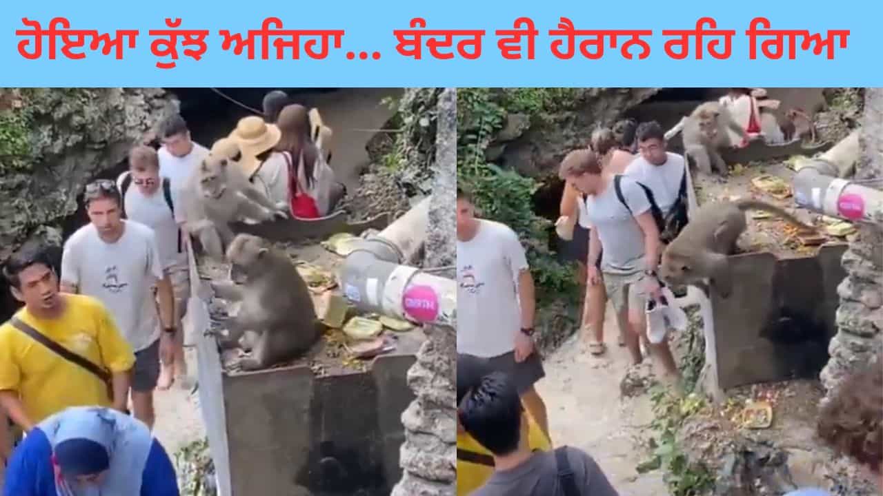 Video: ਬਾਂਦਰ ਨੇ ਖੋਹ ਲਿਆ ਚਸ਼ਮਾ, ਇਸ ਤੋਂ ਬਾਅਦ ਜੋ ਹੋਇਆ.. ਦੇਖ ਯਕੀਨ ਕਰਨਾ ਹੋਜੂ ਔਖਾ! Video: ਬਾਂਦਰ ਨੇ ਖੋਹ ਲਿਆ ਚਸ਼ਮਾ, ਇਸ ਤੋਂ ਬਾਅਦ ਜੋ ਹੋਇਆ.. ਦੇਖ ਯਕੀਨ ਕਰਨਾ ਹੋਜੂ ਔਖਾ!