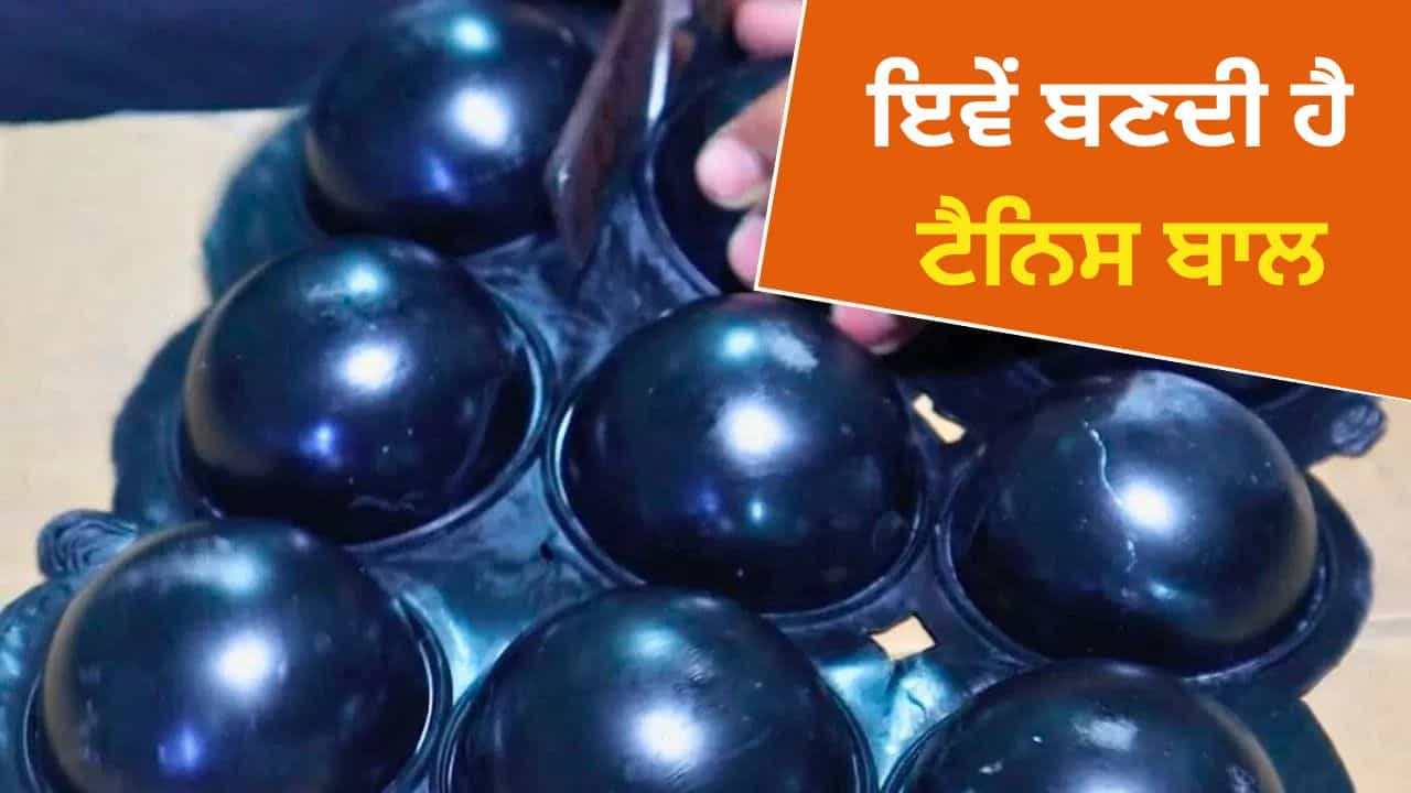 Viral Video: ਇਸ ਤਰ੍ਹਾਂ ਬਣਾਈ ਜਾਂਦੀ ਟੈਨਿਸ ਬਾਲ , 22 ਕਰੋੜ ਲੋਕਾਂ ਨੇ ਇਸ ਵੀਡੀਓ ਨੂੰ ਦੇਖਿਆ Viral Video: ਇਸ ਤਰ੍ਹਾਂ ਬਣਾਈ ਜਾਂਦੀ ਟੈਨਿਸ ਬਾਲ , 22 ਕਰੋੜ ਲੋਕਾਂ ਨੇ ਇਸ ਵੀਡੀਓ ਨੂੰ ਦੇਖਿਆ