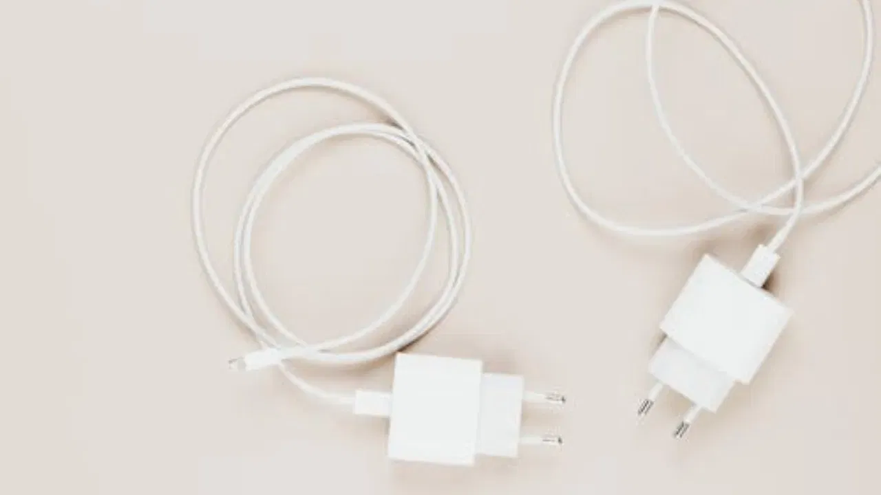 ਚਿੱਟੇ ਰੰਗ ਦੇ ਚਾਰਜਰ 'ਤੇ ਗੰਦਗੀ, ਖੁਰਚ ਜਾਂ ਜਲਣ ਦੇ ਨਿਸ਼ਾਨ ਤੁਰੰਤ ਦਿਖਾਈ ਦਿੰਦੇ ਹਨ। ਇਸ ਲਈ, ਜੇਕਰ ਚਾਰਜਰ ਖਰਾਬ ਹੈ ਜਾਂ ਕੋਈ ਸਮੱਸਿਆ ਹੈ, ਤਾਂ ਇਸਦਾ ਤੁਰੰਤ ਪਤਾ ਲੱਗ ਜਾਂਦਾ ਹੈ। ਇਹ ਸੁਰੱਖਿਆ ਦੀ ਨਿਸ਼ਾਨੀ ਹੈ। ਦੂਜੇ ਪਾਸੇ, ਕਾਲੇ ਜਾਂ ਗੂੜ੍ਹੇ ਰੰਗ ਦੇ ਚਾਰਜਰ 'ਤੇ ਅਜਿਹੇ ਨਿਸ਼ਾਨ ਤੁਰੰਤ ਦਿਖਾਈ ਨਹੀਂ ਦਿੰਦੇ। ਜਿਸ ਕਾਰਨ ਸਮੇਂ ਸਿਰ ਖ਼ਤਰਾ ਨਹੀਂ ਪਤਾ ਲੱਗਦਾ।