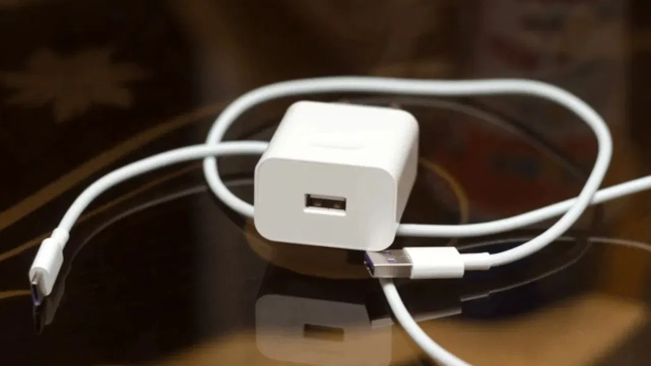 ਚਾਰਜਰ ਬਣਾਉਣ ਲਈ ਵਰਤਿਆ ਜਾਣ ਵਾਲਾ ਪਲਾਸਟਿਕ ਮੂਲ ਰੂਪ ਵਿੱਚ ਚਿੱਟੇ ਰੰਗ ਦਾ ਹੁੰਦਾ ਹੈ। ਇਸ ਲਈ, ਕੰਪਨੀਆਂ ਨੂੰ ਚਿੱਟੇ ਚਾਰਜਰ ਬਣਾਉਣ ਲਈ ਵਾਧੂ ਰੰਗਾਈ ਜਾਂ ਪ੍ਰੋਸੈਸਿੰਗ ਦੀ ਲੋੜ ਨਹੀਂ ਹੁੰਦੀ। ਇਸ ਨਾਲ ਉਤਪਾਦਨ ਲਾਗਤ ਵੀ ਘੱਟ ਜਾਂਦੀ ਹੈ।