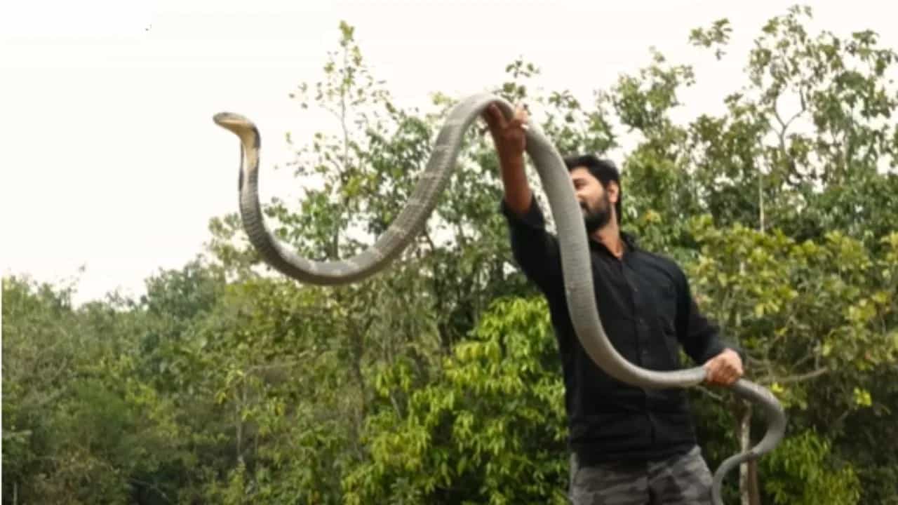 Viral Video: ਗੁੱਸੇ ਵਿੱਚ ਆਏ ਕਿੰਗ ਕੋਬਰਾ ਨੇ ਕੀਤਾ ਅਜਿਹਾ ਅਟੈਕ, ਵੀਡੀਓ ਦੇਖ ਕੇ ਕੰਬ ਜਾਵੇਗੀ ਰੂਹ!