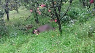 J&K: ਕੁਲਗਾਮ ਵਿੱਚ ਸੁਰੱਖਿਆ ਬਲਾਂ ਅਤੇ ਅੱਤਵਾਦੀਆਂ ਵਿਚਕਾਰ ਮੁਕਾਬਲਾ, ਇੱਕ ਅੱਤਵਾਦੀ ਢੇਰ, ਵੇਖੋ ਗ੍ਰਾਉਂਡ ਰਿਪੋਰਟ