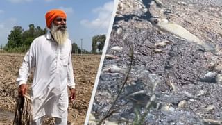 ਫਿਰੋਜ਼ਪੁਰ: ਮਰੀਆਂ ਮੱਛੀਆਂ ਦੀ ਬਦਬੂ, ਘਰਾਂ ‘ਚ ਤਰੇੜਾਂ ਤੇ ਫਸਲ ਦਾ ਨੁਕਸਾਨ… ਹੜ੍ਹ ਦਾ ਪਾਣੀ ਉਤਰਨ ਤੋਂ ਬਾਅਦ ਵੇਖੋ ਪਿੰਡਾਂ ਦੀ Ground Report