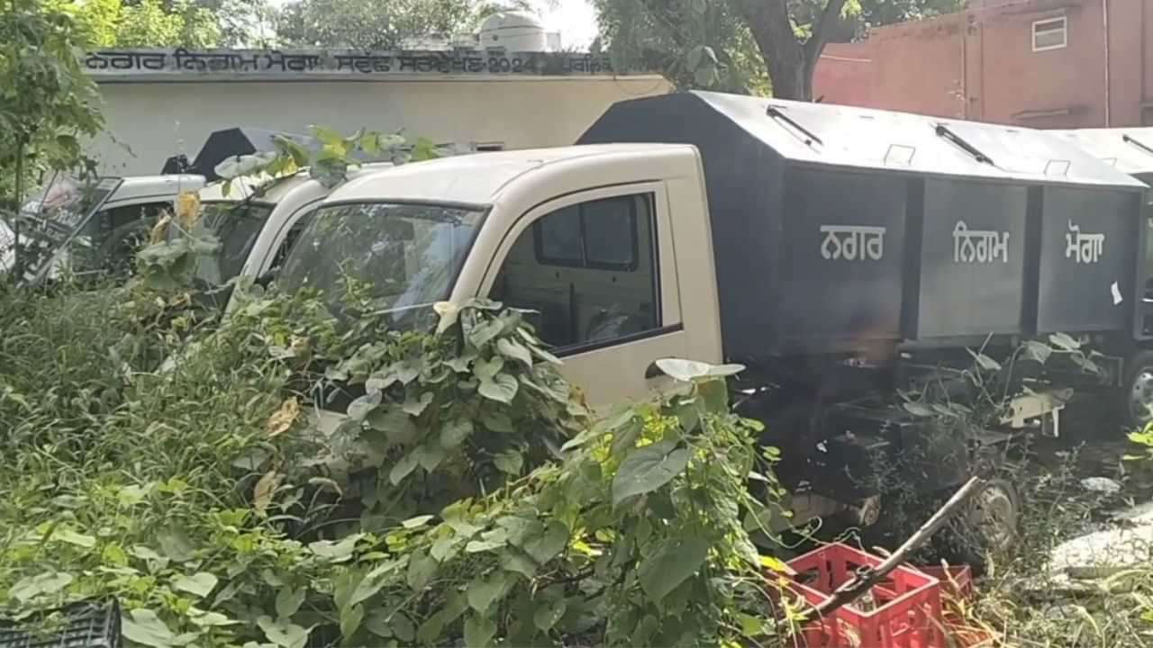 ਮੋਗਾ ਨਿਗਮ ਨੂੰ ਕੇਂਦਰ ਨੇ ਦਿੱਤੇ 25 ਵਾਹਨ, ਖੜ੍ਹੇ-ਖੜ੍ਹੇ ਕਬਾੜ ਹੋ ਰਹੀਆਂ ਗੱਡੀਆਂ ਮੋਗਾ ਨਿਗਮ ਨੂੰ ਕੇਂਦਰ ਨੇ ਦਿੱਤੇ 25 ਵਾਹਨ, ਖੜ੍ਹੇ-ਖੜ੍ਹੇ ਕਬਾੜ ਹੋ ਰਹੀਆਂ ਗੱਡੀਆਂ