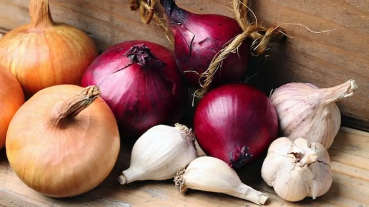 ਲਸਣ ਅਤੇ ਪਿਆਜ਼ ਖਾਣ ਤੋਂ ਪਰਹੇਜ਼: ਨਰਾਤਿਆਂ ਦੌਰਾਨ ਲਸਣ ਅਤੇ ਪਿਆਜ਼ ਨਹੀਂ ਖਾਣਾ ਚਾਹੀਦਾ। ਲਸਣ ਅਤੇ ਪਿਆਜ਼ ਨੂੰ "ਤਾਮਸਿਕ" ਭੋਜਨ ਮੰਨਿਆ ਜਾਂਦਾ ਹੈ, ਜੋ ਮਨ ਵਿੱਚ ਨਕਾਰਾਤਮਕਤਾ ਅਤੇ ਸੁਸਤੀ ਪੈਦਾ ਕਰਦੇ ਹਨ। ਇਸ ਲਈ, ਅਧਿਆਤਮਿਕ ਸੰਤੁਲਨ ਅਤੇ ਭਗਤੀ ਬਣਾਈ ਰੱਖਣ ਲਈ, ਨਰਾਤਿਆਂ ਦੌਰਾਨ ਲਸਣ ਅਤੇ ਪਿਆਜ਼ ਦਾ ਸੇਵਨ ਨਹੀਂ ਕਰਨਾ ਚਾਹੀਦਾ।