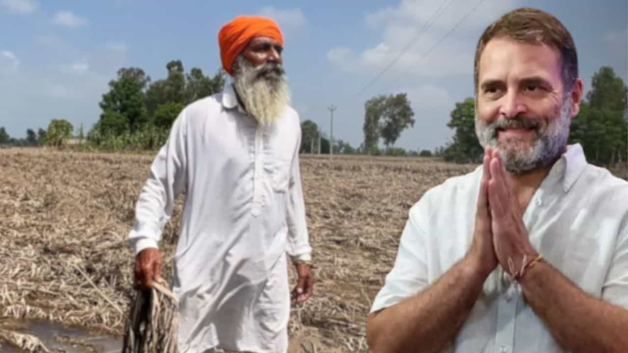 ਰਾਹੁਲ ਗਾਂਧੀ ਦਾ ਅੱਜ ਪੰਜਾਬ ਦੌਰਾ, ਹੜ੍ਹ ਪ੍ਰਭਾਵਿਤ ਲੋਕਾਂ ਨਾਲ ਕਰਨਗੇ ਮੁਲਾਕਾਤ
