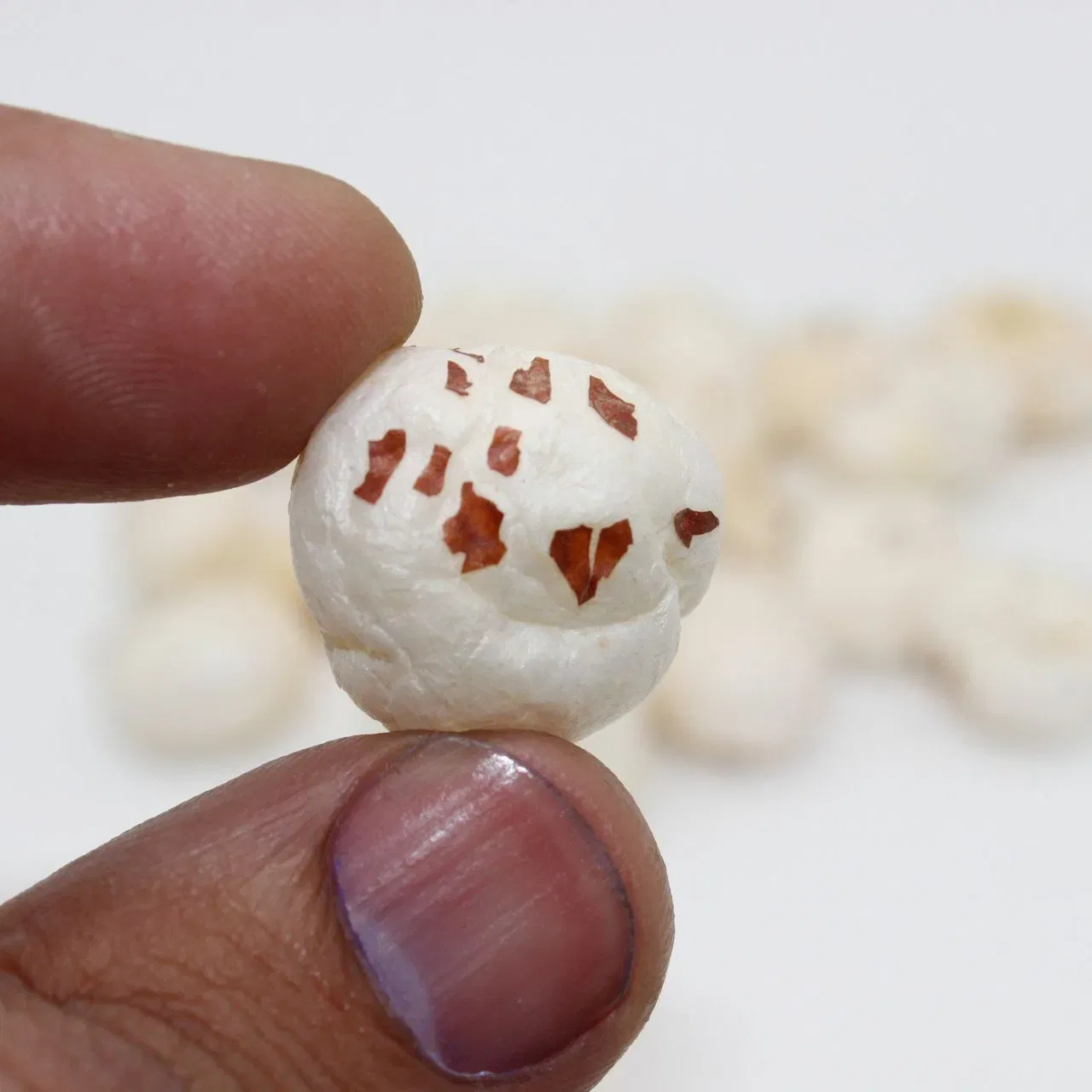 ਮਖਾਣਾ ਕੁਦਰਤੀ ਤੌਰ 'ਤੇ ਗਲੂਟਨ-ਫਰੀ ਹੁੰਦਾ ਹੈ। ਇਸ ਵਿੱਚ ਫਾਈਬਰ, ਪੋਟਾਸ਼ੀਅਮ, ਮੈਗਨੀਸ਼ੀਅਮ, ਪ੍ਰੋਟੀਨ ਅਤੇ ਖਣਿਜ ਸਮੇਤ ਬਹੁਤ ਸਾਰੇ ਪੌਸ਼ਟਿਕ ਤੱਤ ਹੋਣ ਕਰਕੇ ਇਹ ਐਨਰਜੀ ਦਾ ਚੰਗਾ ਵਿਕਲਪ ਹੈ। ਤੁਸੀਂ ਮਖਾਣੇ ਨੂੰ ਕਈ ਤਰੀਕਿਆਂ ਨਾਲ ਖਾ ਸਕਦੇ ਹੋ, ਜਿਵੇਂ ਕਿ ਮਖਾਣਾ ਖੀਰ, ਮਖਾਣਾ ਨਮਕੀਨ, ਜਾਂ ਰੋਸਟ ਕਰਕੇ।