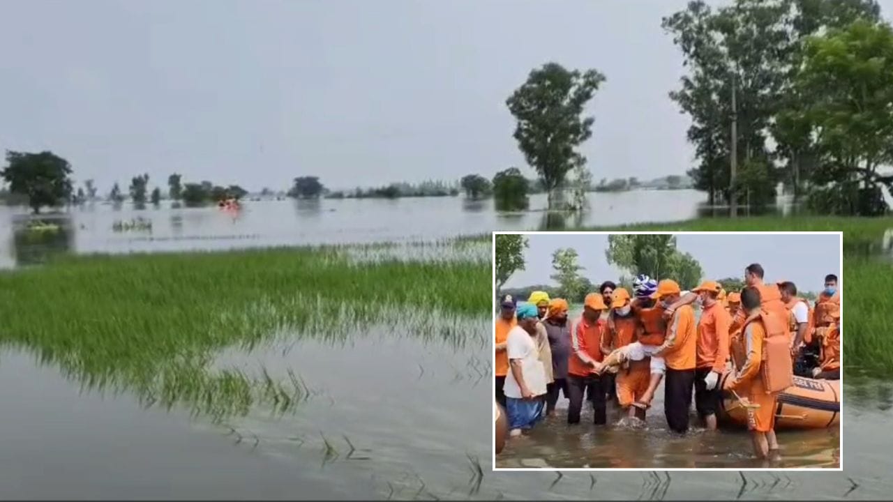 ਹੜ੍ਹ ਪ੍ਰਭਾਵਿਤ ਇਲਾਕਿਆਂ 'ਚ ਬਿਮਾਰੀਆਂ ਦੇ ਨਾਲ-ਨਾਲ ਸੱਪ ਕੱਟਣ ਦੇ ਮਾਮਲੇ ਵੀ ਵਧੇ, ਗੁਰਦਾਸਪੁਰ 'ਚ ਹੁਣ ਤੱਕ 37 ਕੇਸ