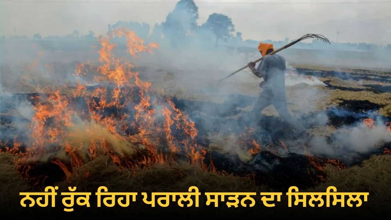 ਪੰਜਾਬ ਚ ਨਹੀਂ ਰੁੱਕ ਰਿਹਾ ਪਰਾਲੀ ਸਾੜਣ ਦਾ ਸਿਲਸਿਲਾ, ਹੁਣ ਤੱਕ 116 ਕੇਸ ਦਰਜ ਪੰਜਾਬ ਚ ਨਹੀਂ ਰੁੱਕ ਰਿਹਾ ਪਰਾਲੀ ਸਾੜਣ ਦਾ ਸਿਲਸਿਲਾ, ਹੁਣ ਤੱਕ 116 ਕੇਸ ਦਰਜ