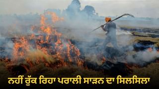 ਪੰਜਾਬ ‘ਚ ਨਹੀਂ ਰੁੱਕ ਰਿਹਾ ਪਰਾਲੀ ਸਾੜਣ ਦਾ ਸਿਲਸਿਲਾ, ਹੁਣ ਤੱਕ 116 ਕੇਸ ਦਰਜ ਪੰਜਾਬ ‘ਚ ਨਹੀਂ ਰੁੱਕ ਰਿਹਾ ਪਰਾਲੀ ਸਾੜਣ ਦਾ ਸਿਲਸਿਲਾ, ਹੁਣ ਤੱਕ 116 ਕੇਸ ਦਰਜ