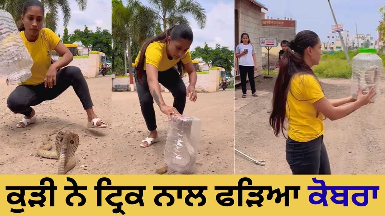 OMG! ਕੁੜੀ ਨੇ ਕੋਬਰਾ ਫੜਨ ਲਈ ਵਰਤਿਆ ਅਨੋਖਾ ਤਰੀਕਾ, ਲੋਕਾਂ ਨੂੰ ਕਰ ਦਿੱਤਾ ਹੈਰਾਨ OMG! ਕੁੜੀ ਨੇ ਕੋਬਰਾ ਫੜਨ ਲਈ ਵਰਤਿਆ ਅਨੋਖਾ ਤਰੀਕਾ, ਲੋਕਾਂ ਨੂੰ ਕਰ ਦਿੱਤਾ ਹੈਰਾਨ
