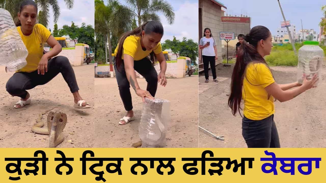 OMG! ਕੁੜੀ ਨੇ ਕੋਬਰਾ ਫੜਨ ਲਈ ਵਰਤਿਆ ਅਨੋਖਾ ਤਰੀਕਾ, ਲੋਕਾਂ ਨੂੰ ਕਰ ਦਿੱਤਾ ਹੈਰਾਨ OMG! ਕੁੜੀ ਨੇ ਕੋਬਰਾ ਫੜਨ ਲਈ ਵਰਤਿਆ ਅਨੋਖਾ ਤਰੀਕਾ, ਲੋਕਾਂ ਨੂੰ ਕਰ ਦਿੱਤਾ ਹੈਰਾਨ