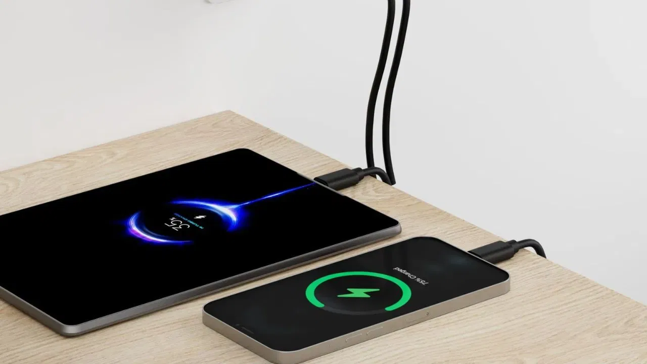 ਸਿਰਫ਼ 80:20 ਨਿਯਮ ਹੀ ਨਹੀਂ, ਚਾਰਜ ਕਰਦੇ ਸਮੇਂ ਕੁਝ ਹੋਰ ਗੱਲਾਂ ਵੀ ਧਿਆਨ ਵਿੱਚ ਰੱਖਣੀਆਂ ਚਾਹੀਦੀਆਂ ਹਨ। ਆਪਣੇ ਫ਼ੋਨ ਨੂੰ ਹਮੇਸ਼ਾ ਅਸਲੀ ਚਾਰਜਰ ਨਾਲ ਚਾਰਜ ਕਰੋ ਅਤੇ ਚਾਰਜ ਕਰਦੇ ਸਮੇਂ ਇਸ ਦੀ ਵਰਤੋਂ ਕਰਨ ਤੋਂ ਬਚੋ। ਇਹ ਬੈਟਰੀ ਦੇ ਨੁਕਸਾਨ ਨੂੰ ਰੋਕੇਗਾ ਅਤੇ ਚਾਰਜਿੰਗ ਸਪੀਡ ਨੂੰ ਬਣਾਈ ਰੱਖੇਗਾ। (Photo-Amazon)